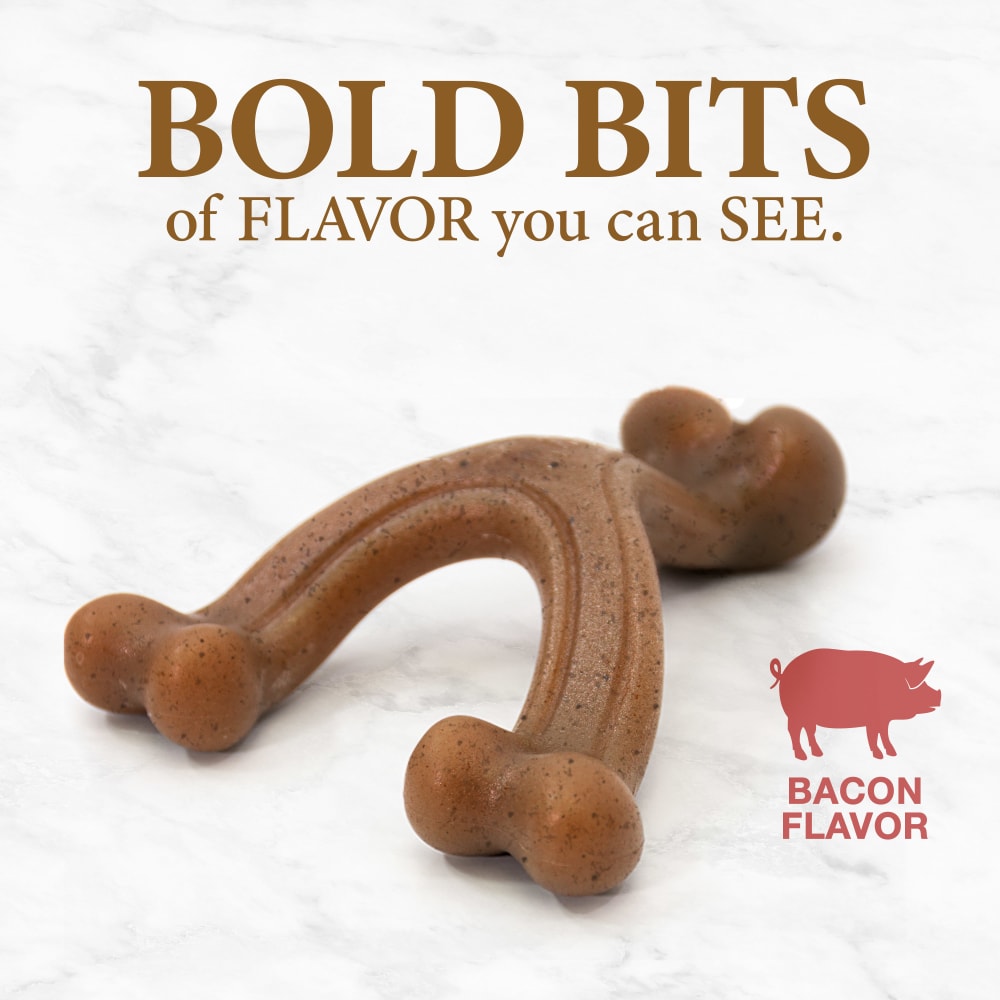 Nylabone Gourmet Style Wishbone Bacon Flavoured advert on a white marble background