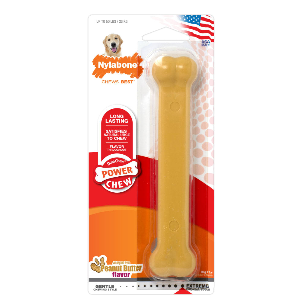 Nylabone Power Chew Giant on a white background