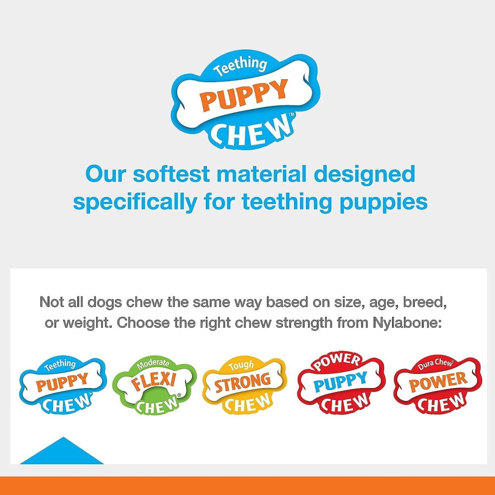 Nylabone Puppy Chew Teething Bone Chew Strength Card