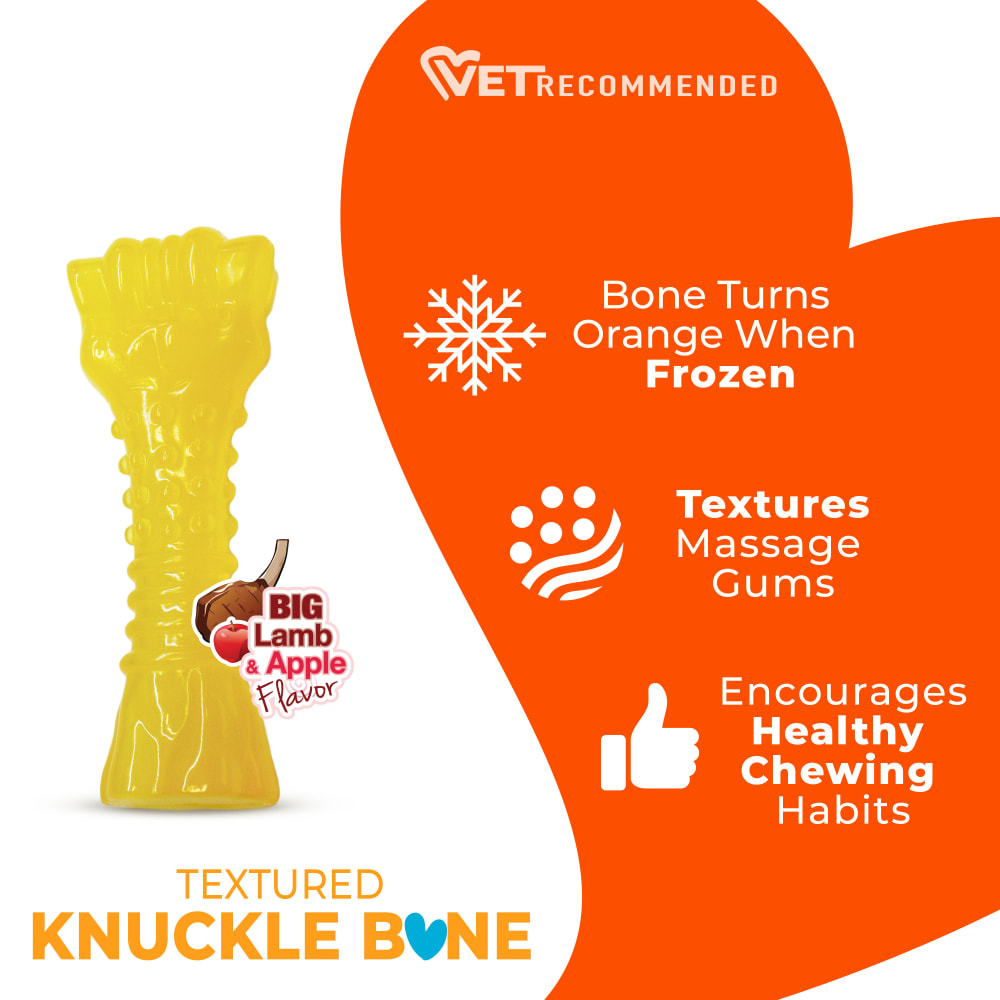 Nylabone Puppy Chill & Chew Freezer Bone Information Card on a white background