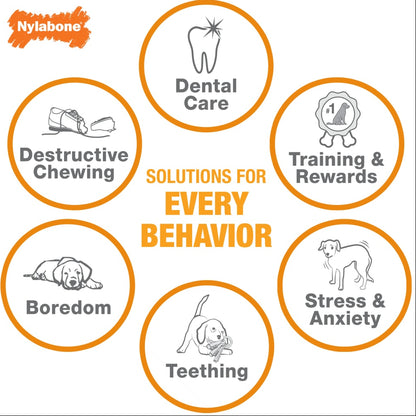 Nylabone Solutions for Behaviours on a white background