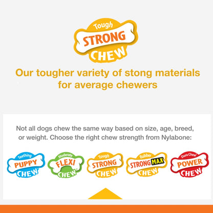 Nylabone strong chew guide on a white bacckground
