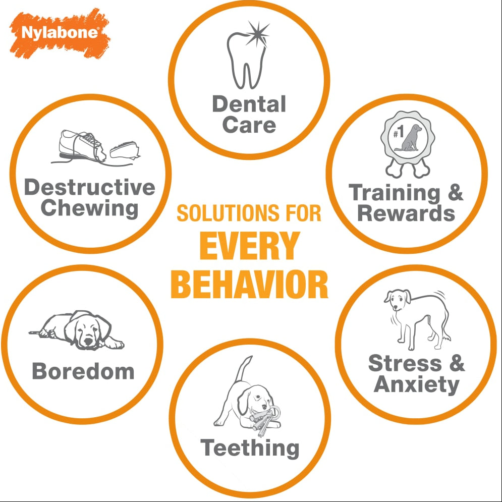 Nylabone behaviour solutions information card