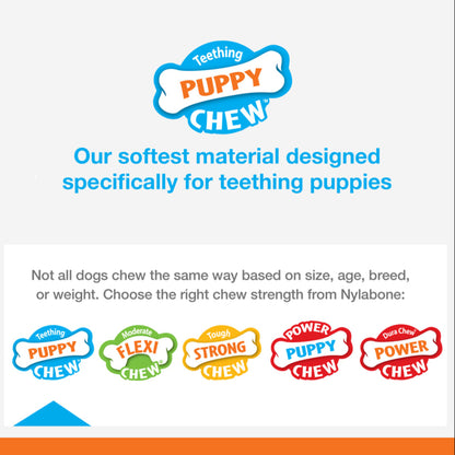 Nylabone chew style card