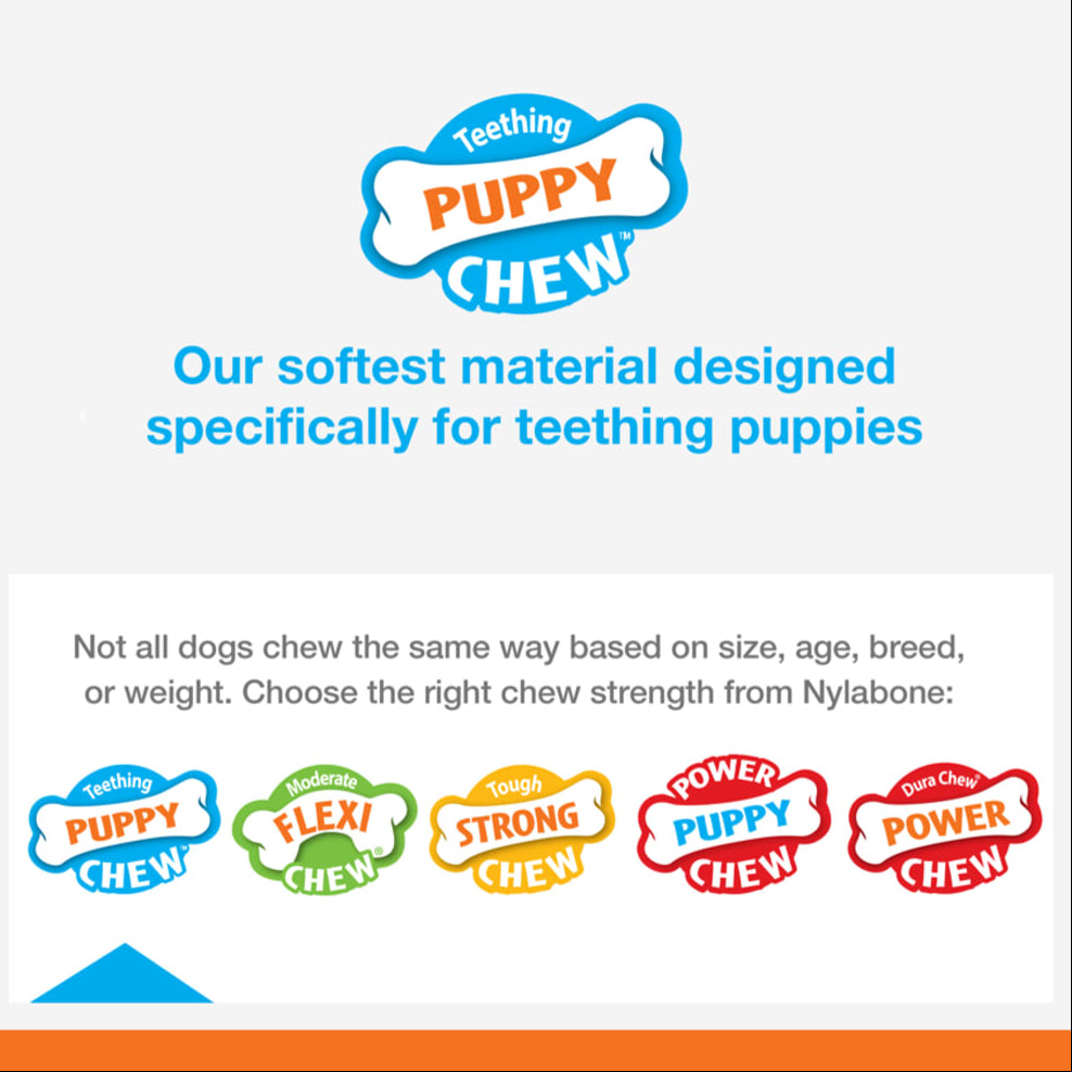 Nylabone chew-strength-teething-puppy on white background