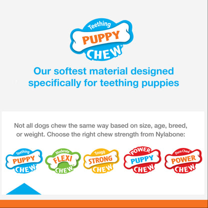 Nylabone chew-strength-teething-puppy on white background