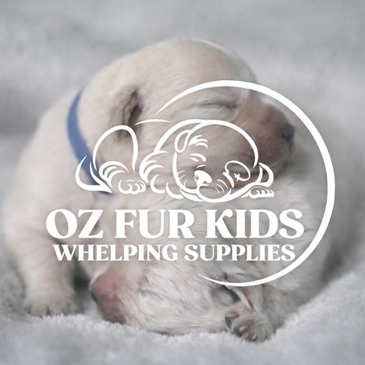 Neonatal Puppy Health Observation Chart - Free Download - Printable