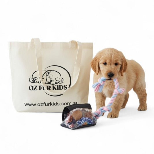 Puppy playing with a rope toy next to an 'Oz Fur Kids' tote bag on a white background