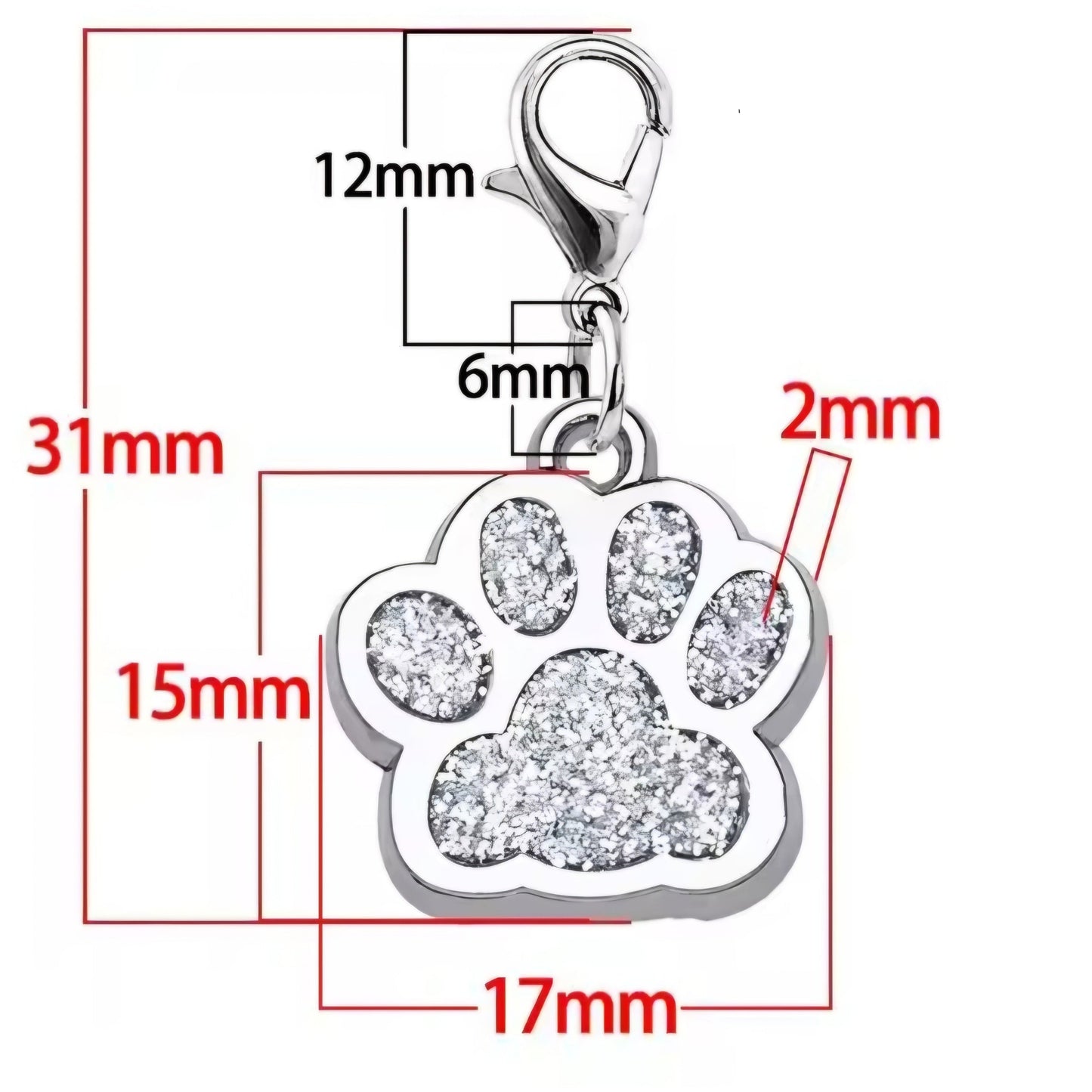 Paw Charm Sizing on a white background