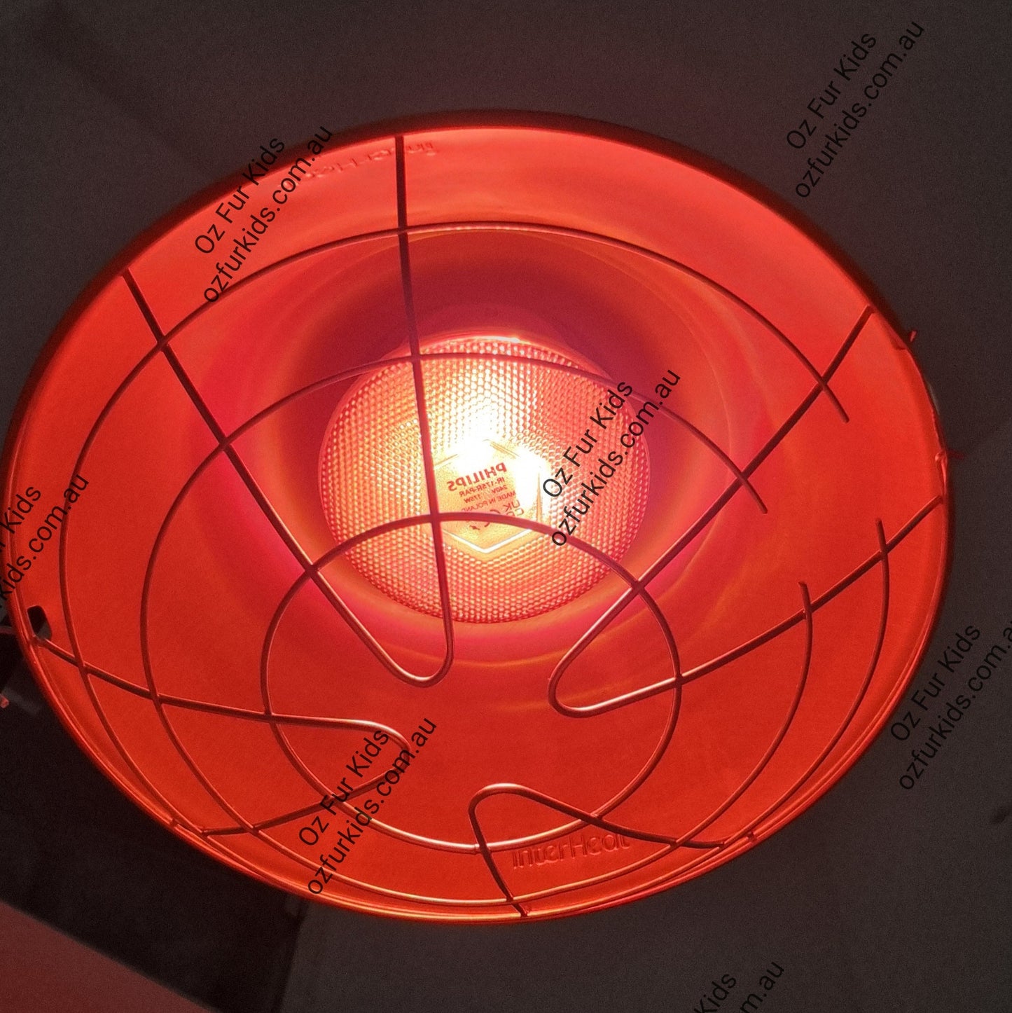 Phillips Infrared Globe in a heat lamp