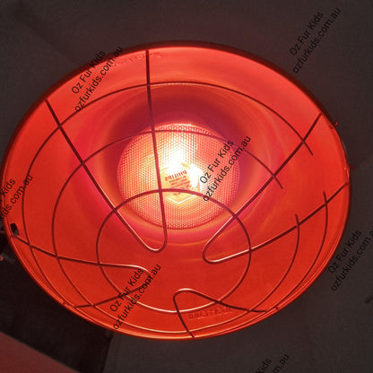 Phillips Infrared Globe in a heat lamp