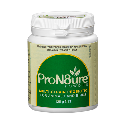 ProN8ure powder on a white background