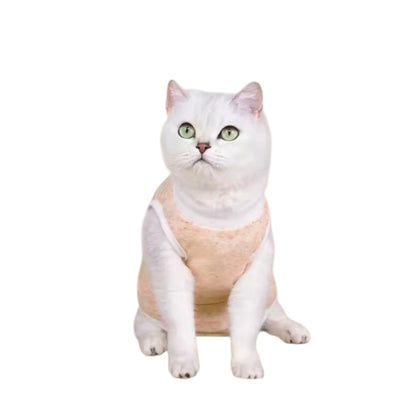 White cat wearing an orange recovery suit on a white background