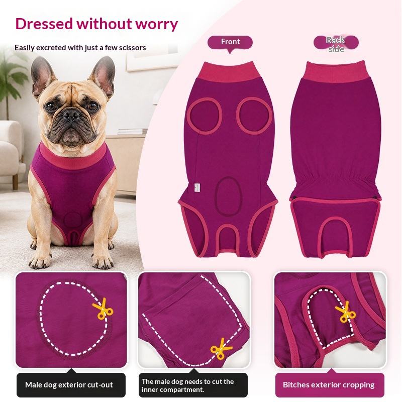 A dog surgical recovery suit infographic showing a French bulldog wearing the garment, front and back views, and three close-up cut-detail panels with text instructions. The product is a rose red contoured fitting surgical recovery suit.