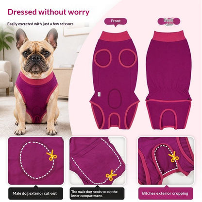 A dog surgical recovery suit infographic showing a French bulldog wearing the garment, front and back views, and three close-up cut-detail panels with text instructions. The product is a rose red contoured fitting surgical recovery suit.