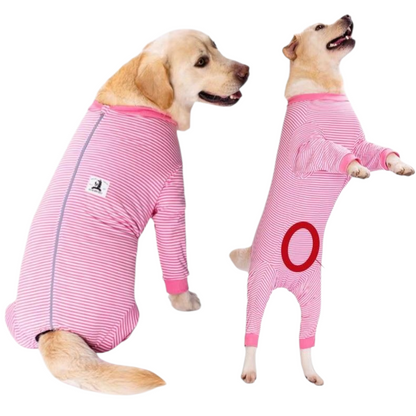 Two dogs wearing pink striped recovery suits on a white background