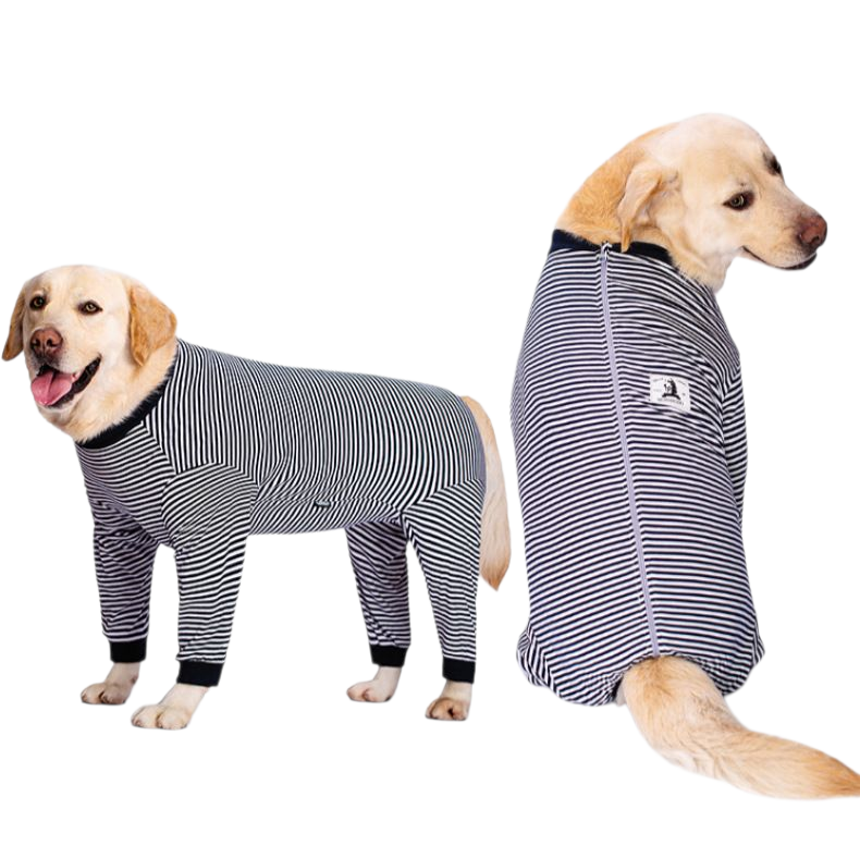 Two dogs wearing navy striped pet recovery suits on a white background