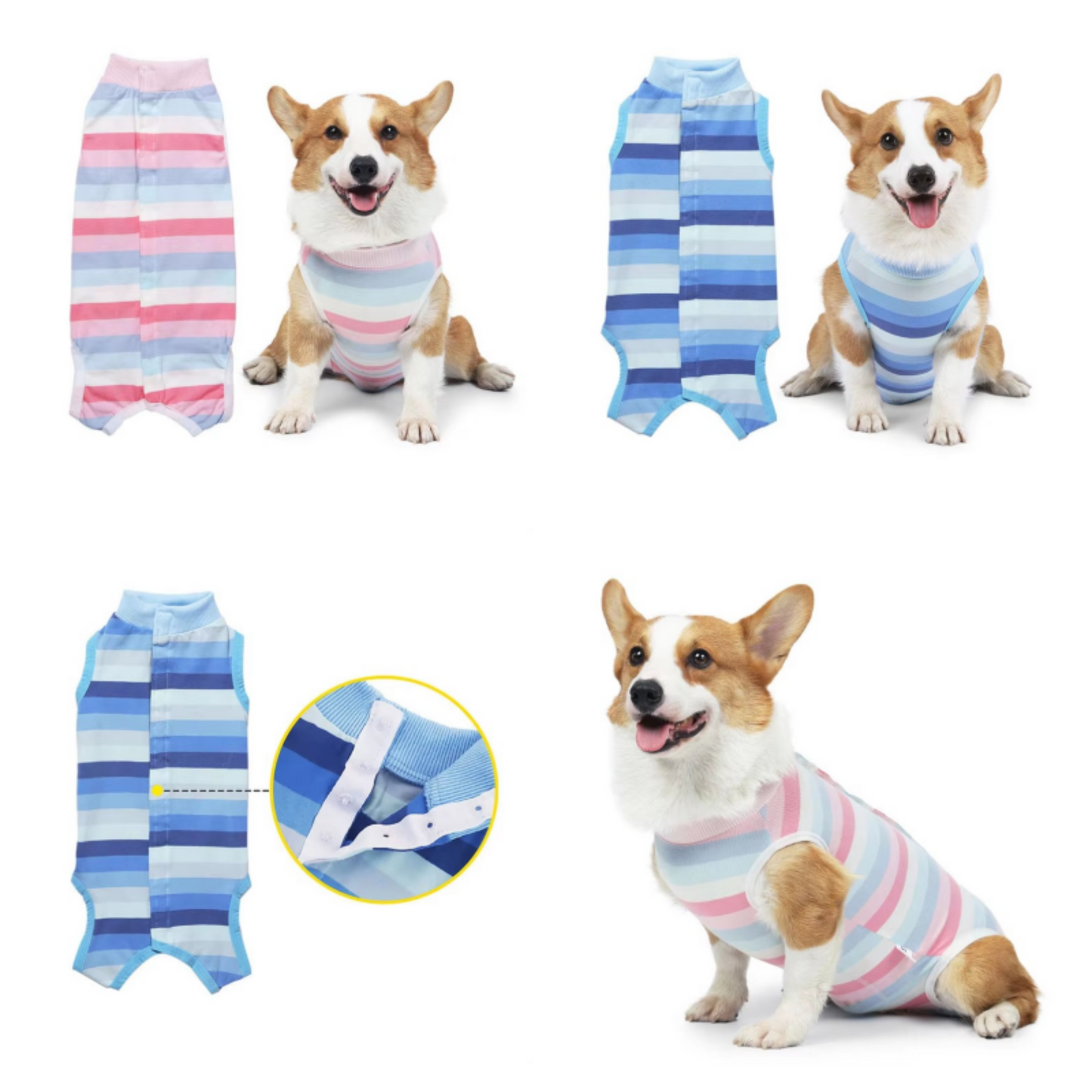 Small dogs wearing striped recovery suits. The suits appear in pink and blue colors with different stripe patterns.