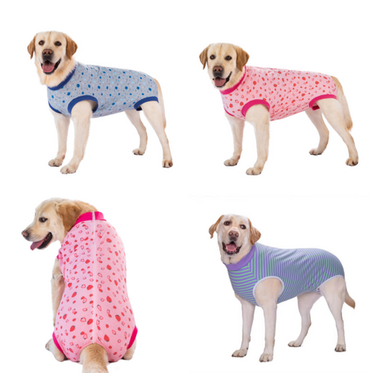  Dogs wearing zip-up recovery suits in various colors and patterns.