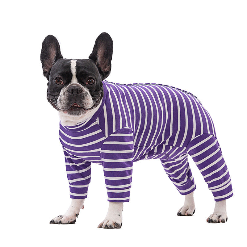 Dog wearing a purple and white three quarter leg recovery suit on a white background