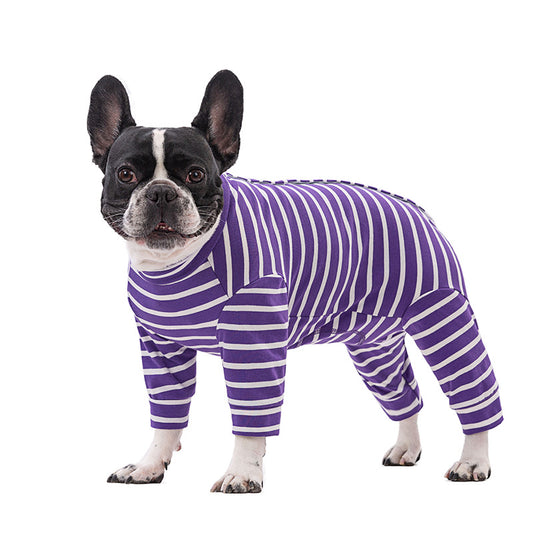 Dog wearing a purple and white three quarter leg recovery suit on a white background