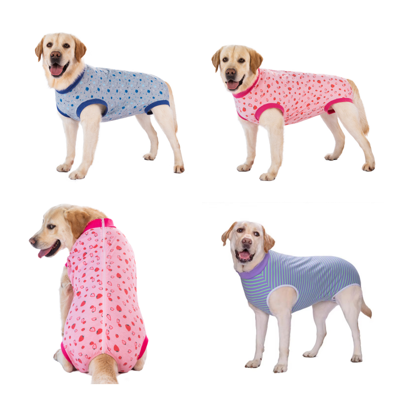 Recovery Suit Dog - Zip Up