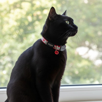 Black cat wearing a Rogz Reflectocat collar with a blurred green outdoor background