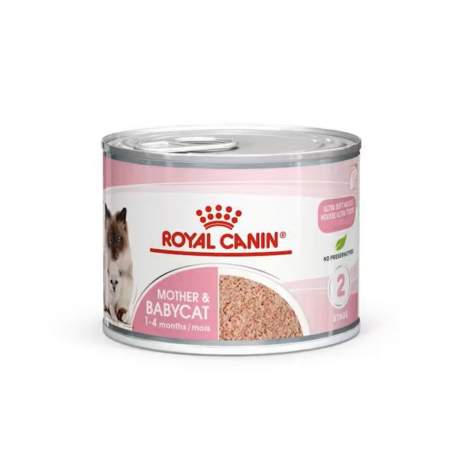 Can of Royal Canin Mother & Babycat food on a white background