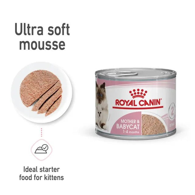 Royal Canin Mother & Babycat canned cat food with mousse sample on a white background
