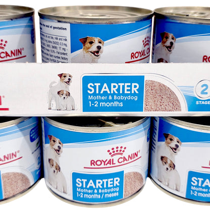 Multiple cans of Royal Canin Starter Mother & Babydog food arranged in a pattern.