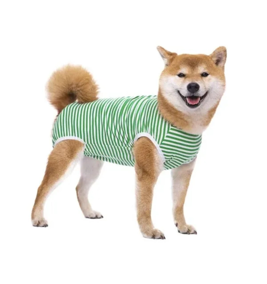 Recovery Suit Dog - Green Stripe Snap Button