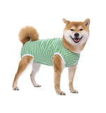 Green Stripe Snap Button Dog Recovery Surgical Suits - Mastitis, Weaning, Spey, Neuter