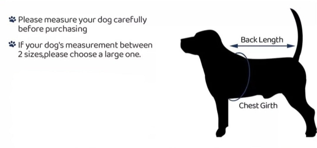 Recovery Suit Dog - Blue Stripe Snap Button