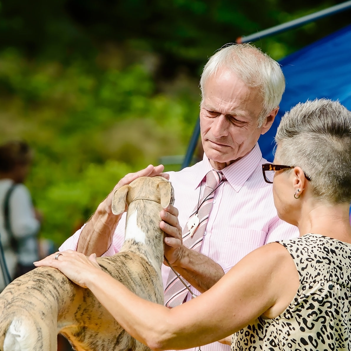 Martingale All in One Show Lead 4mm Round