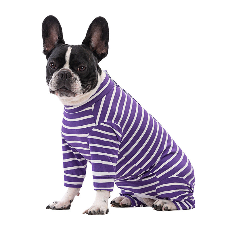 Dog sitting down wearing a purple and white three quarter leg recovery suit on a white background
