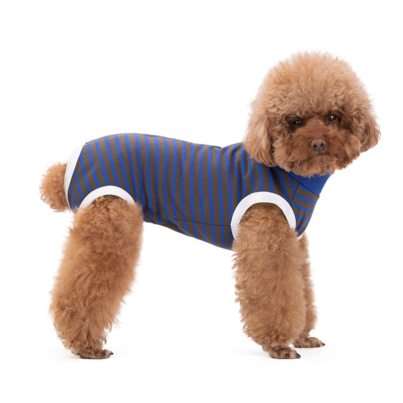 Small Dog poodle wearing a Navy Grey Recovery Suit