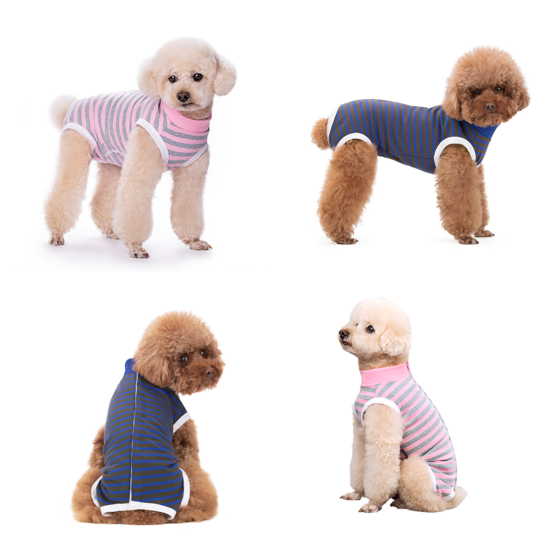 Small dogs wearing striped recovery suits in pink and navy colors with white stripes.