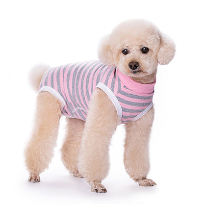 Small dog wearing a recovery suit with gray & pink stripes on a white background