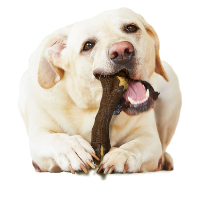Nylabone Strong Chew Real Wood Dog Stick Maple Bacon - Souper or Wolf