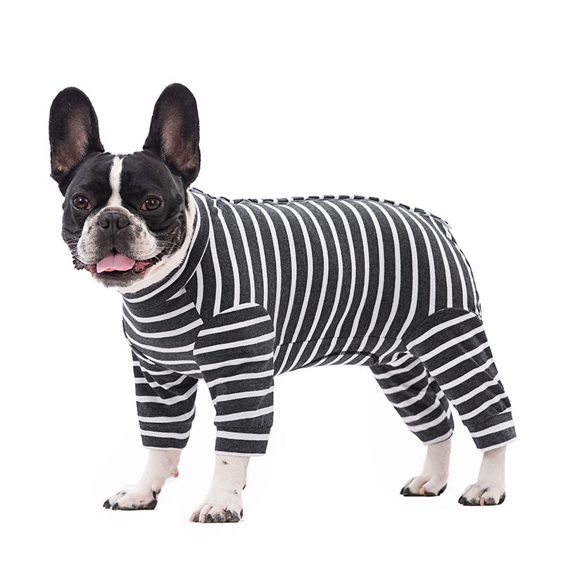 Dog wearing a black and white three quarter leg recovery suit on a white background
