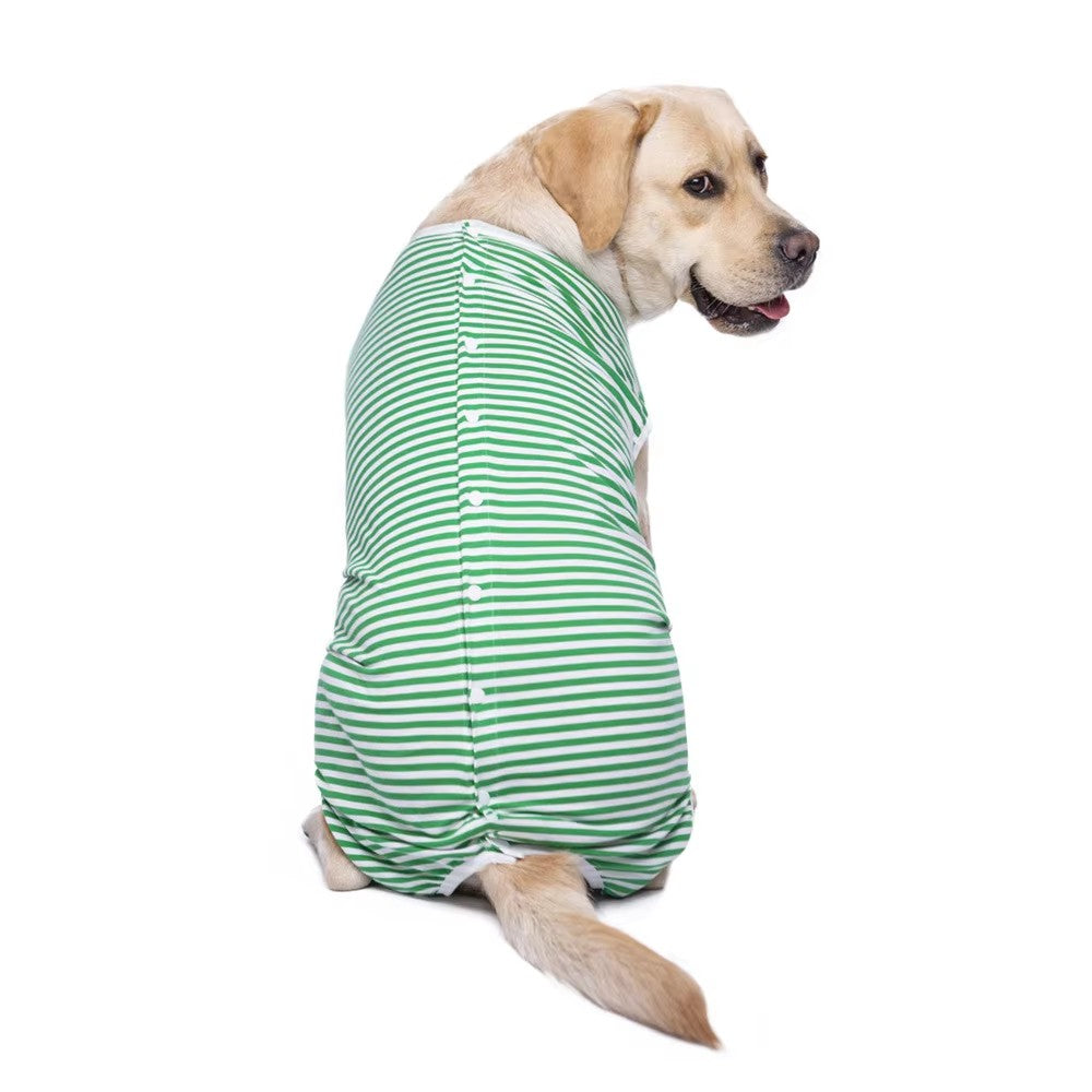 Dog wearing a green and white striped surgical recovery suit on a white background