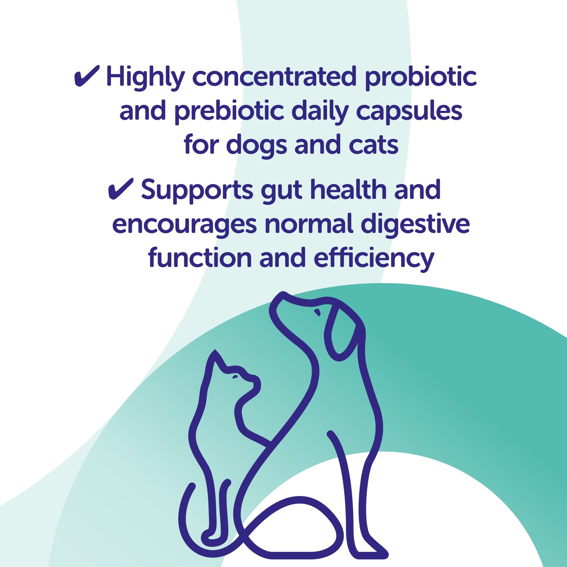 Promotional graphic for probiotic and prebiotic daily capsules for dogs and cats with text and illustrations.