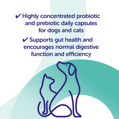 Promotional graphic for probiotic and prebiotic daily capsules for dogs and cats with text and illustrations.