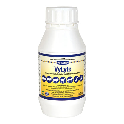 VyLyte bottle with label on a white background