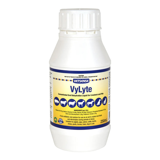 VyLyte bottle with label on a white background