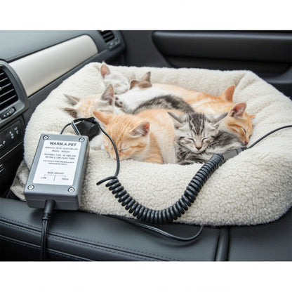 Lots of kittens sleeping on a heated pet bed in a car with a power adapter.