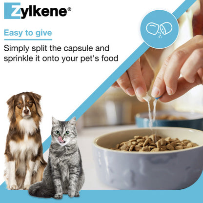 Zylkene product advertisement with a dog and cat, showing how to give the product to pets.