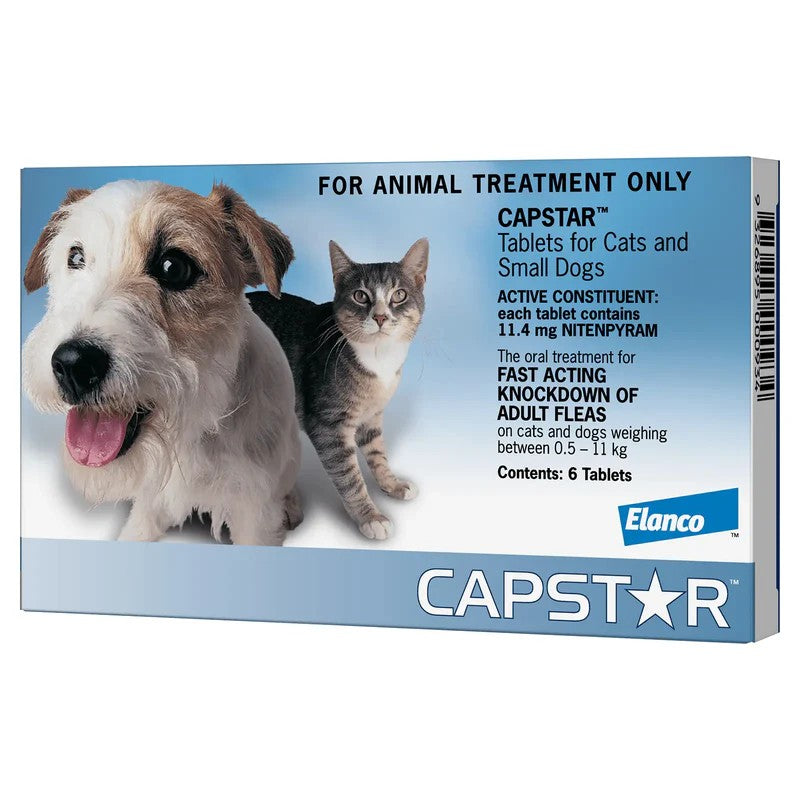 Capstar tablet packaging for cats and small dogs with a dog and cat on a blue background