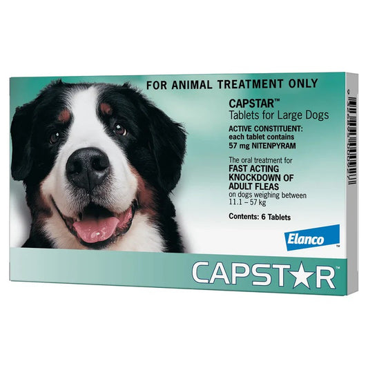 Capstar tablet packaging for large dogs with a dog's face on the box.