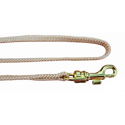 Beige show lead with a gold metal clasp on a white background
